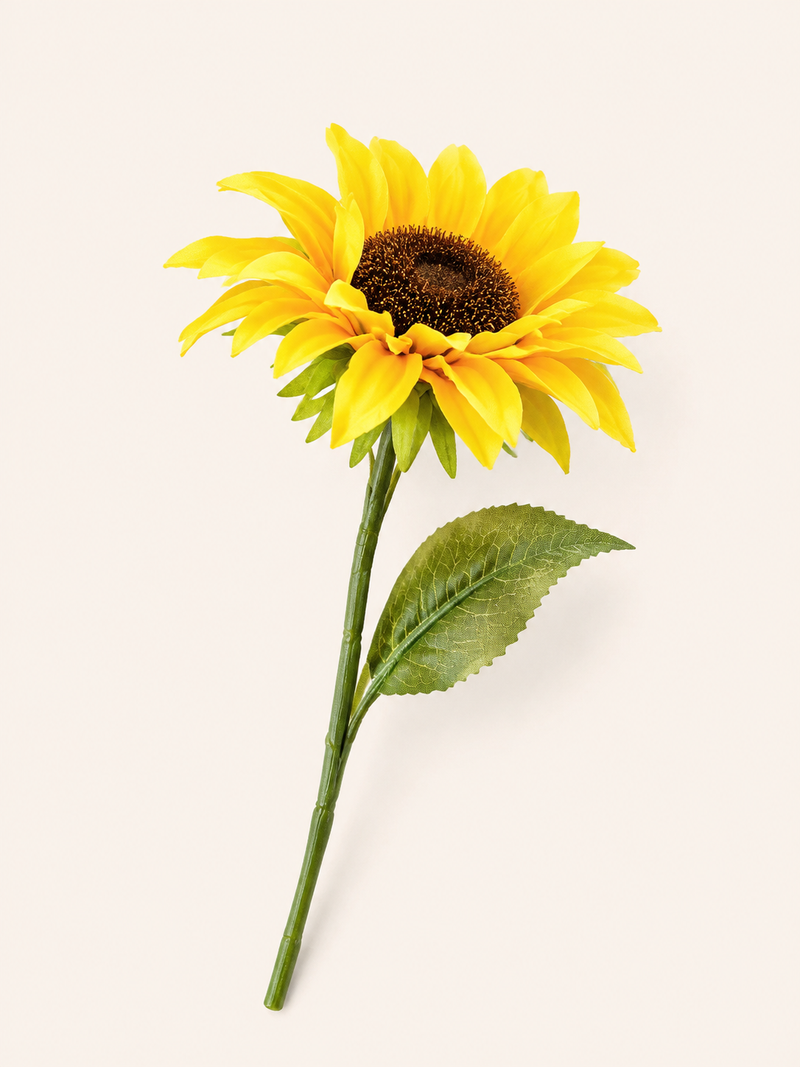 فرع زهرة عباد الشمس